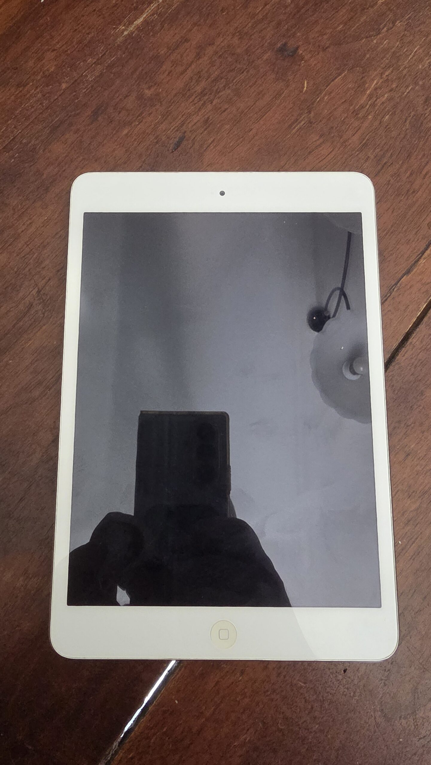 ipad mini 2 frontale